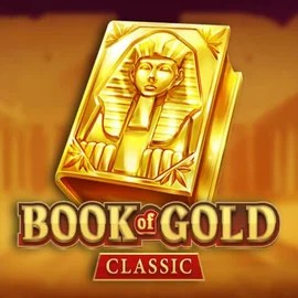 game logo by Playson on luckymeisters.de