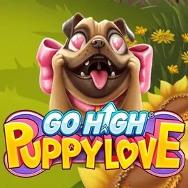 game logo by RubyPlay on luckymeisters.de