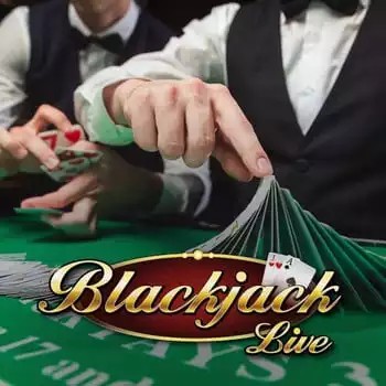 Live Blackjack logo by Pragmatic Live at Lucky Meister CasinoLive Blackjack